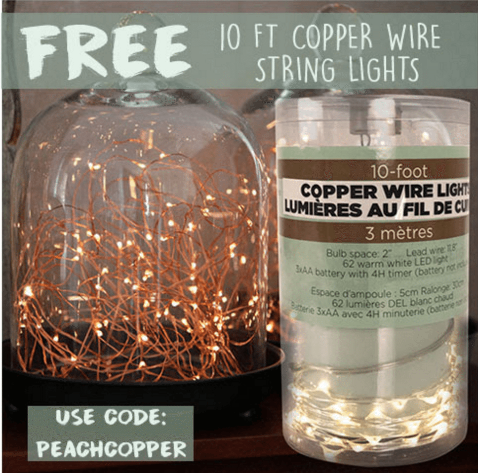 Peaches and Petals – Free Copper Wire Lights with Subscription!