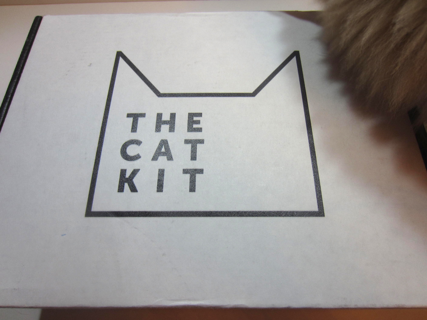 the-cat-kit-october-2016-box