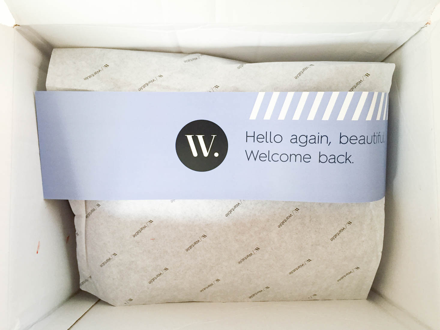wantable-style-edit-october-2016-box-inside