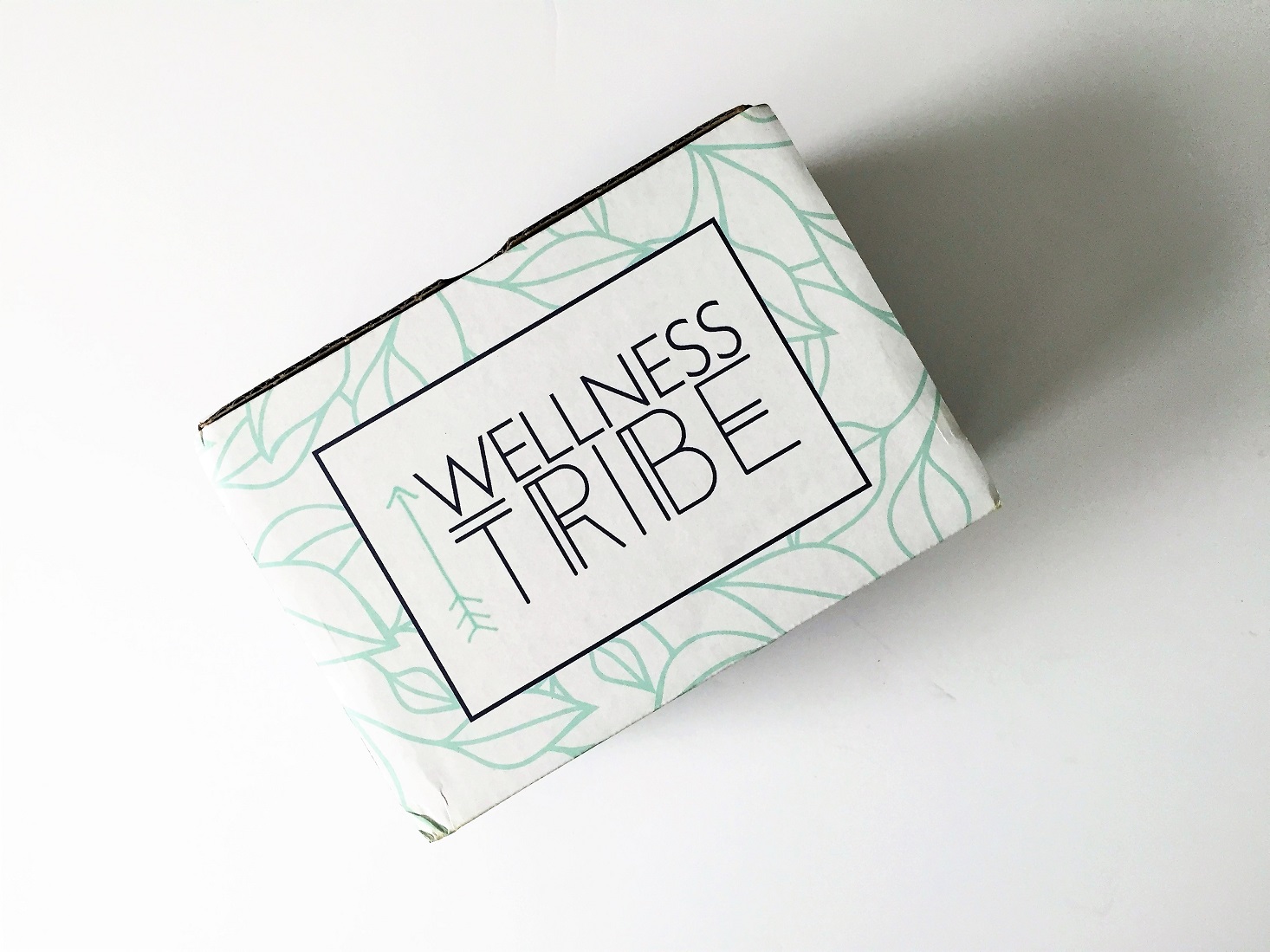 Wellness Tribe Subscription Box Review + Coupon- October 2016