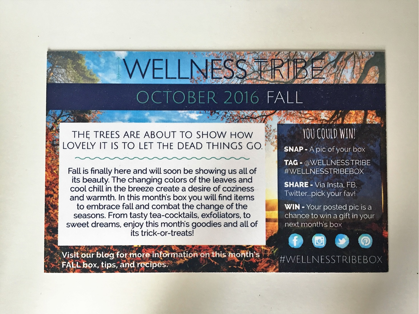 wellness-tribe-october-2016-04frontcard