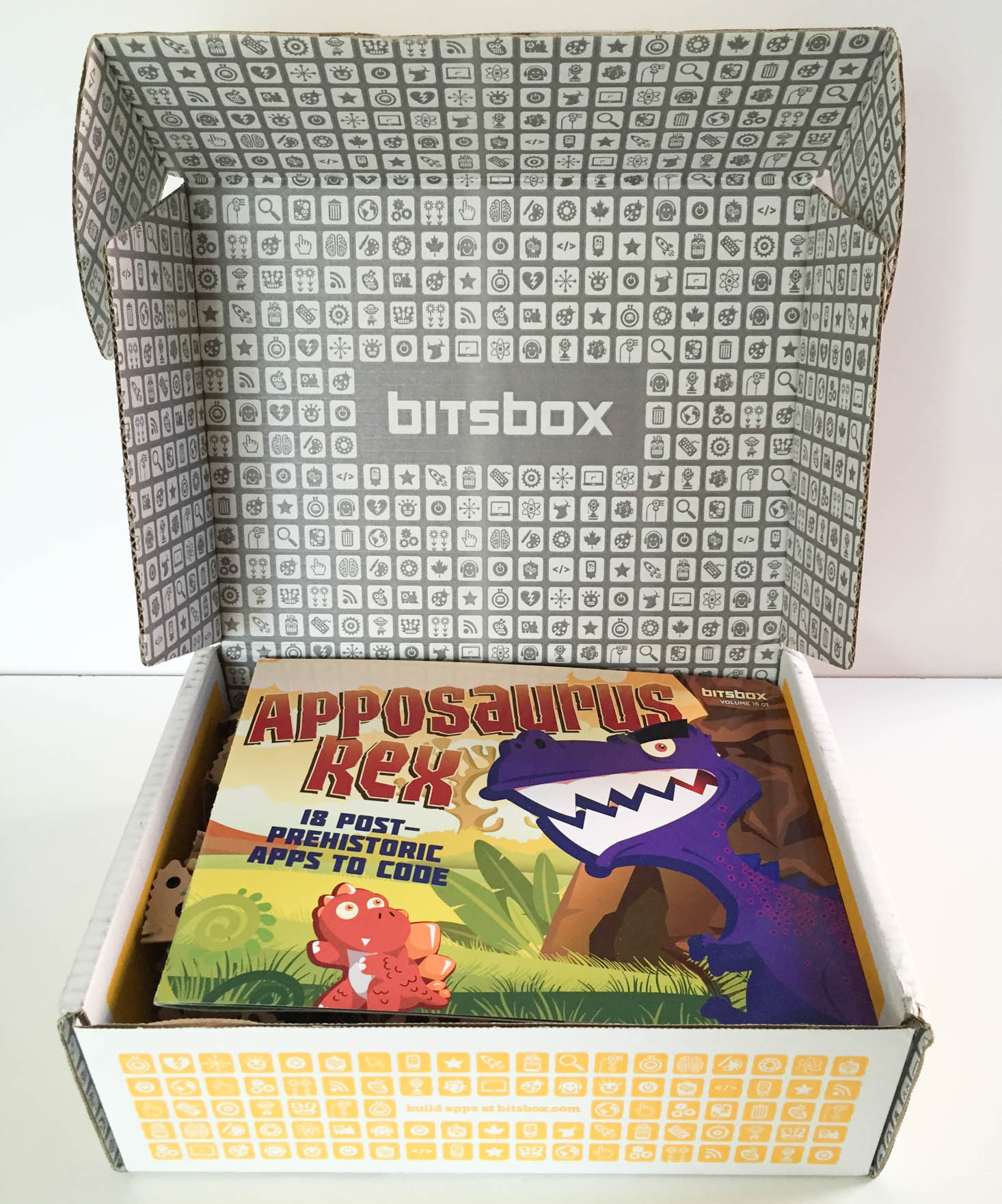 bitsbox-october-2016-box-inside
