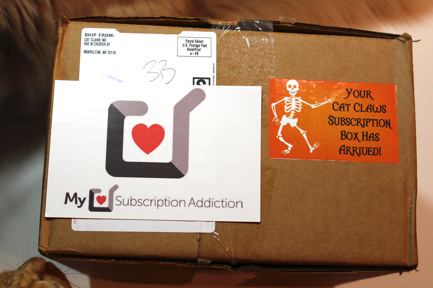 Cat Claws Club Subscription Box Review – October 2016