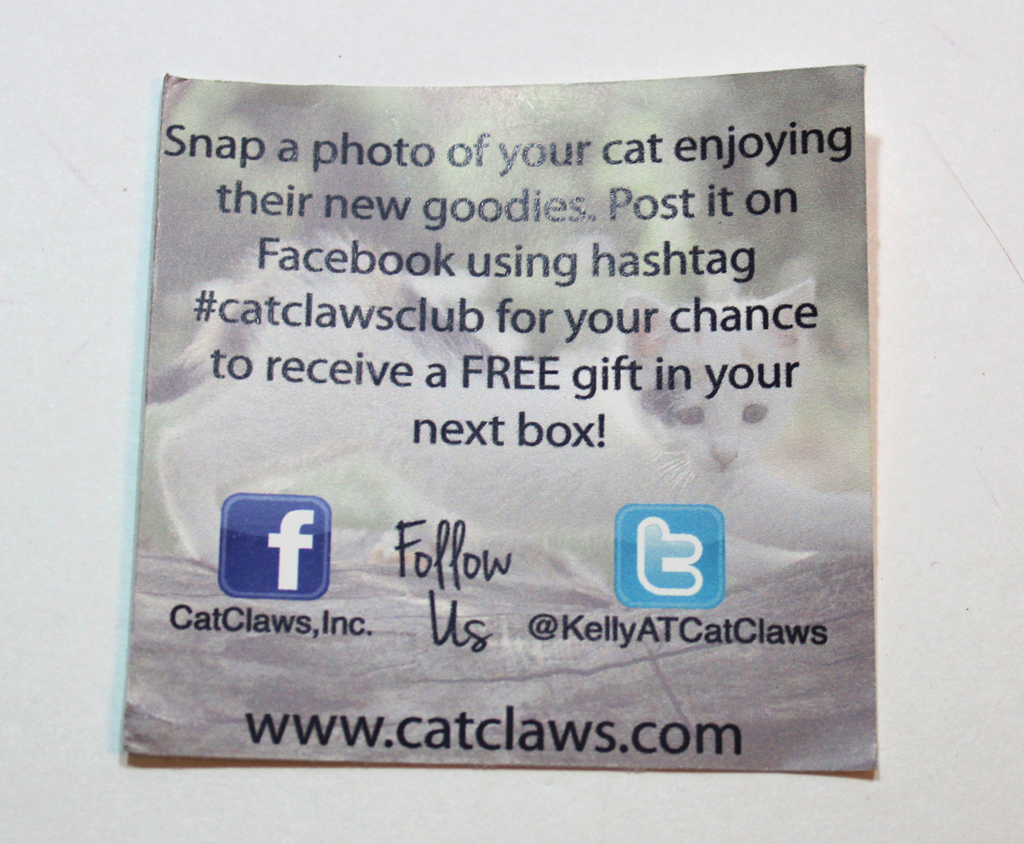 cat-claws-club-october-2016-social-media