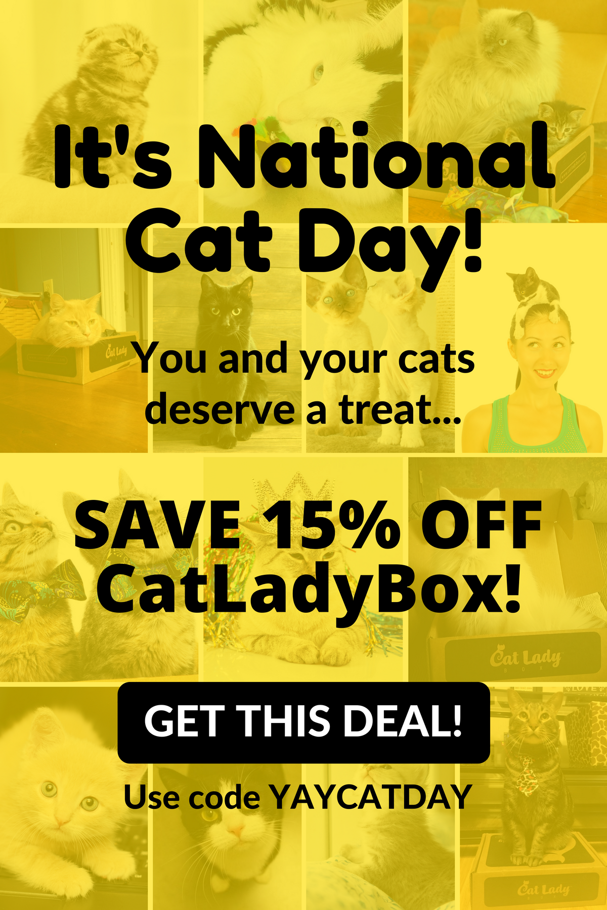 catladybox-cat-day
