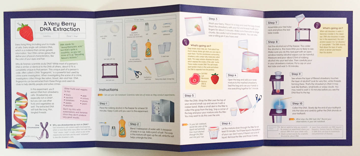 little-passports-science-expeditions-october-2016-instructions-dna