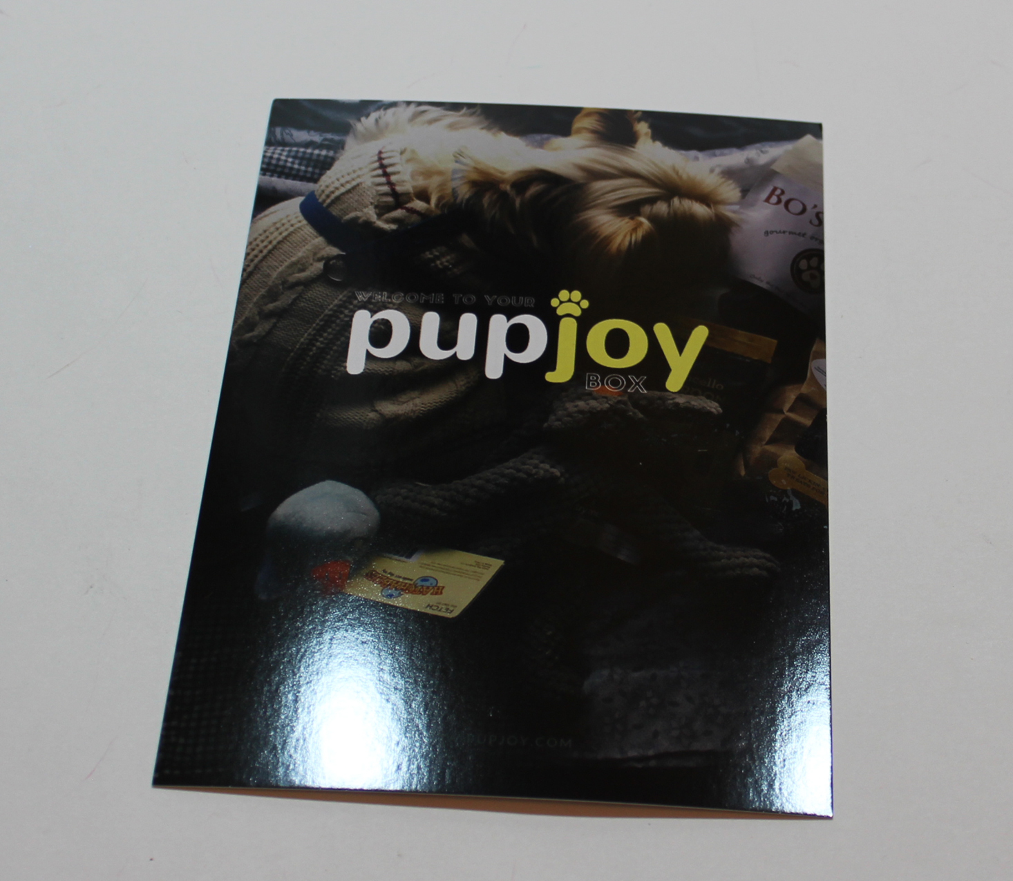 pupjoy-october-2016-booklet-front
