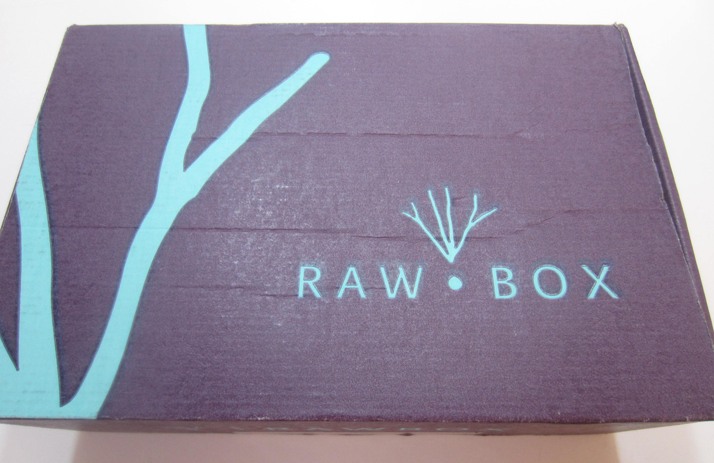 RawBox Subscription Box Review + Coupon – October 2016