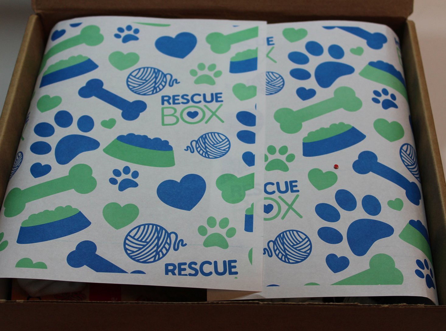 rescue-box-october-2016-inside1