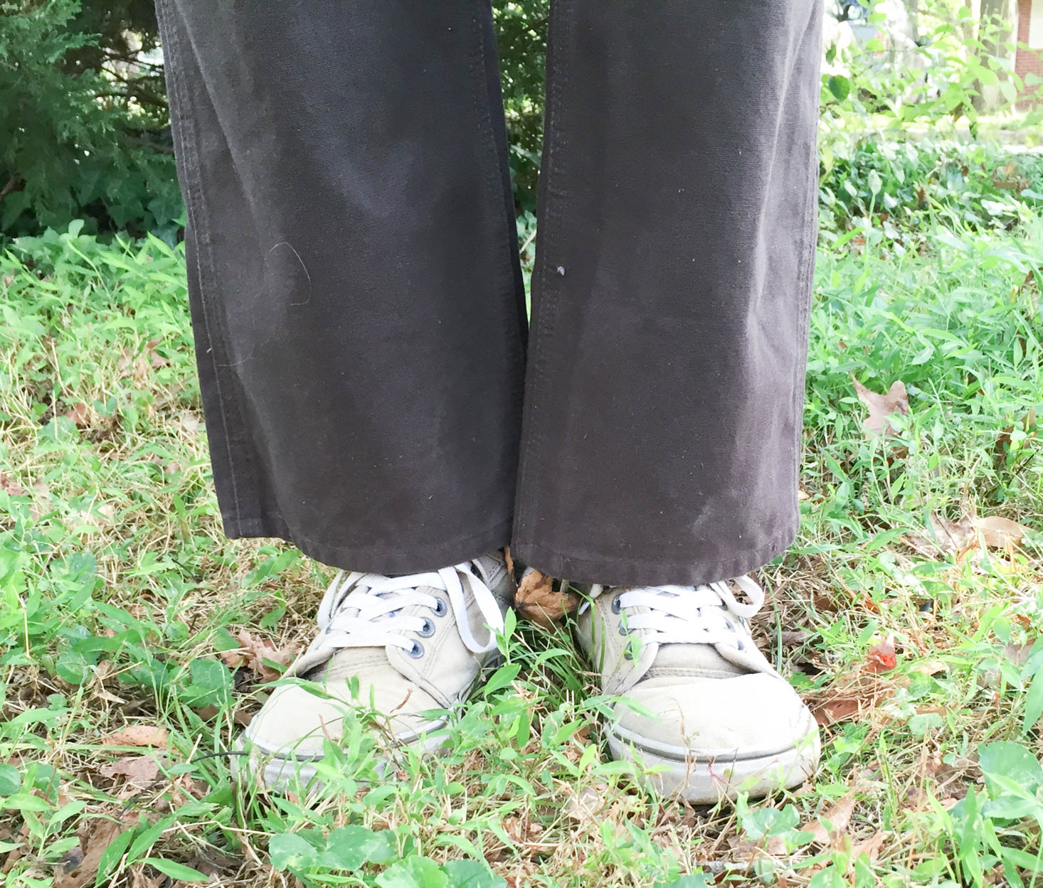 revive-september-2016-brown-pants