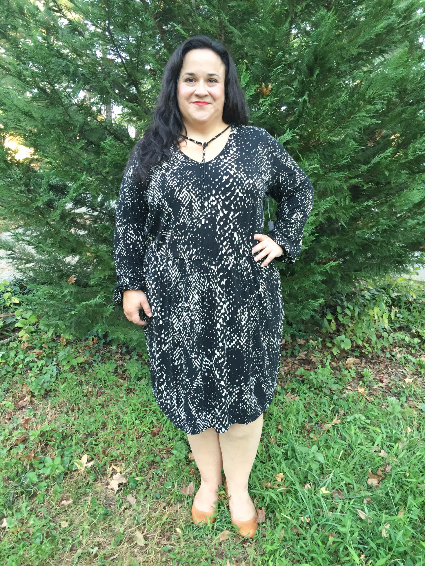 wantable-style-edit-october-2016-dress