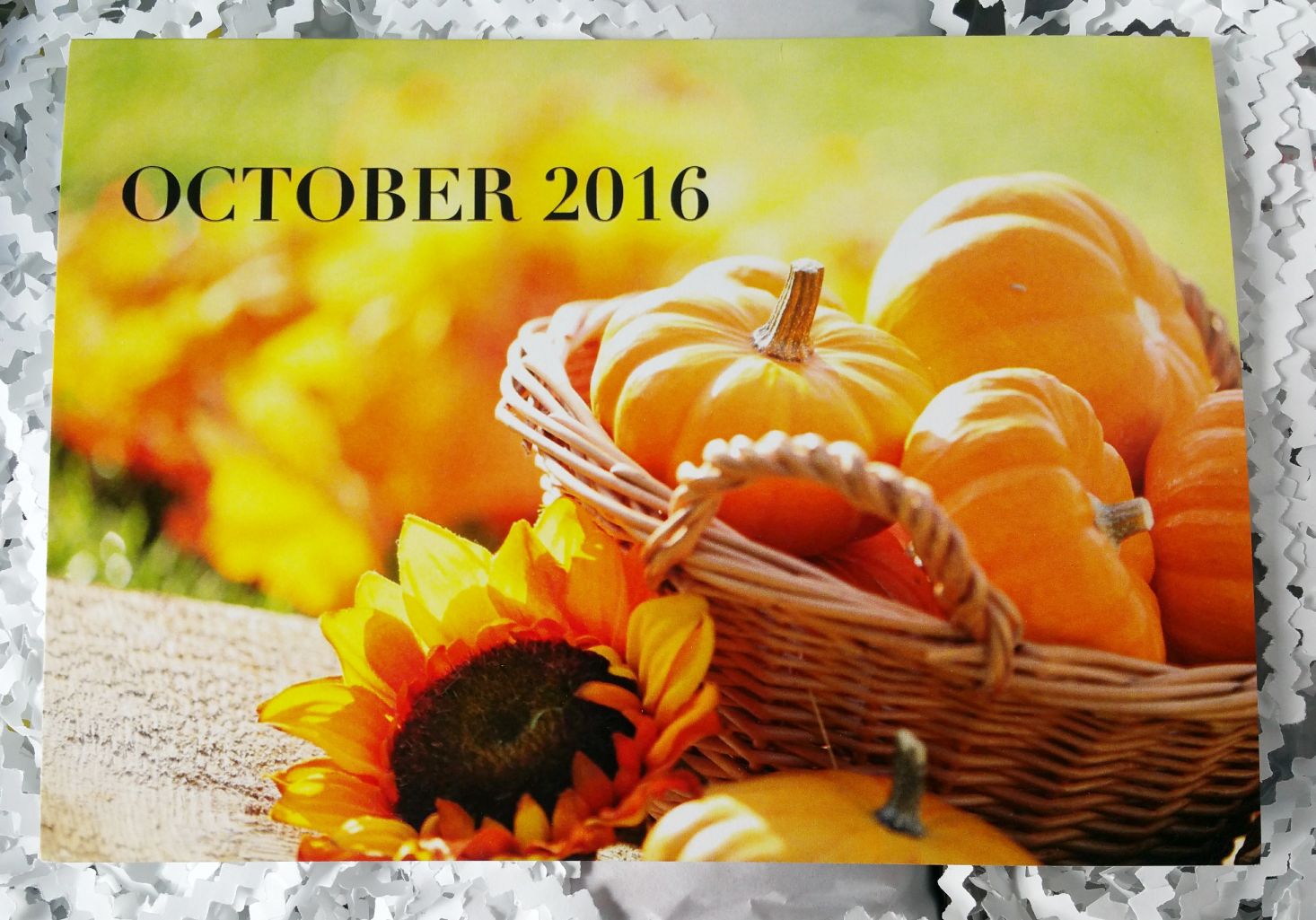 white-willow-october-2016-info-card-1