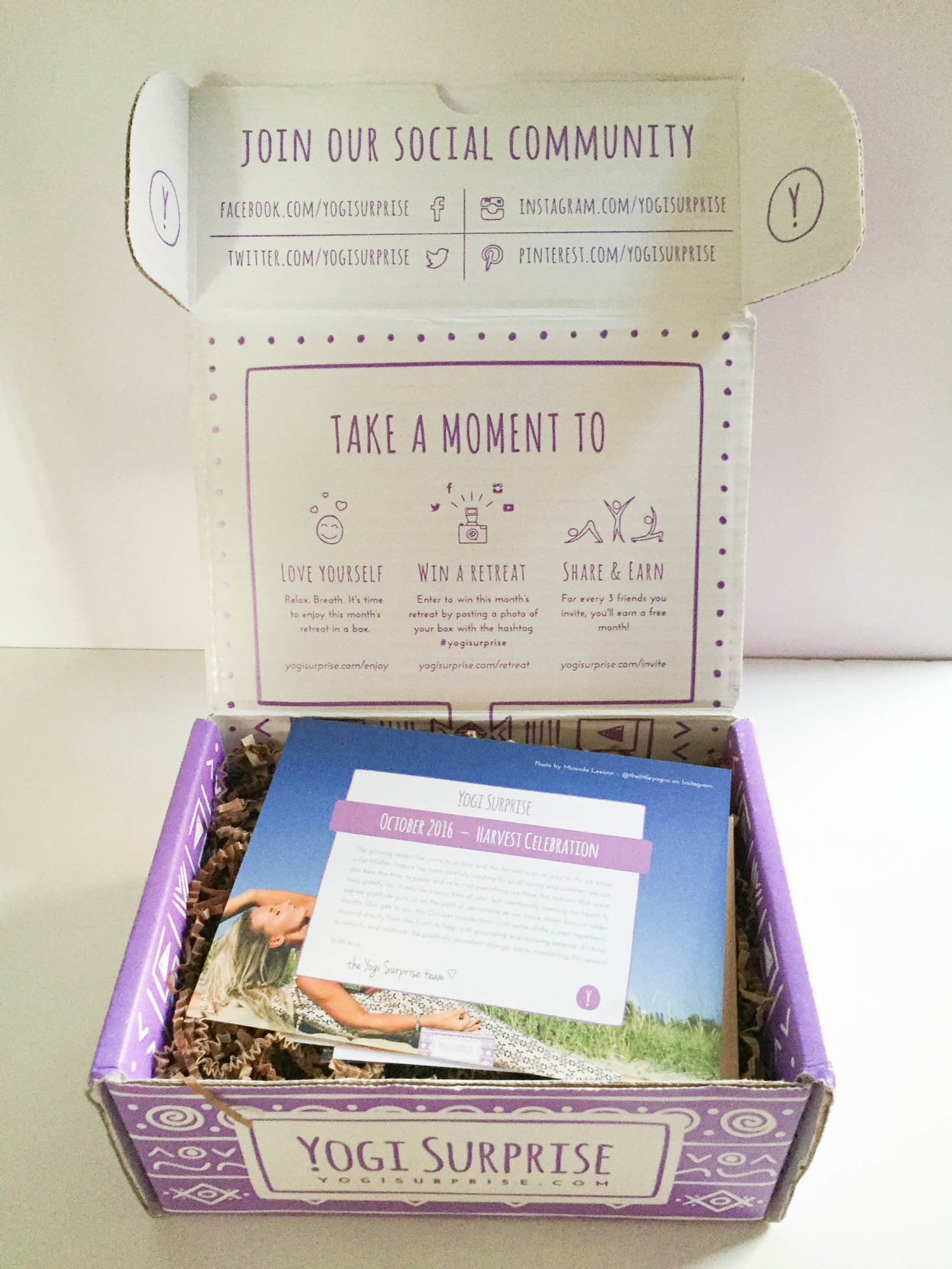 yogi-surprise-october-2016-box-inside