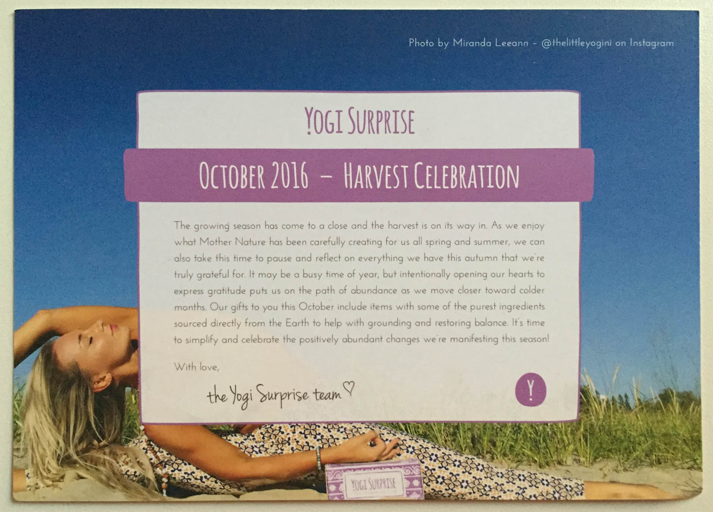 yogi-surprise-october-2016-theme