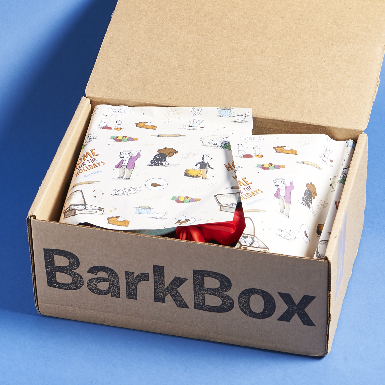 barkbox-november-2016-0026