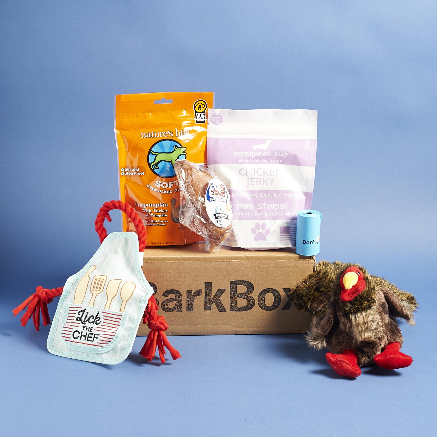 barkbox-november-2016-0027
