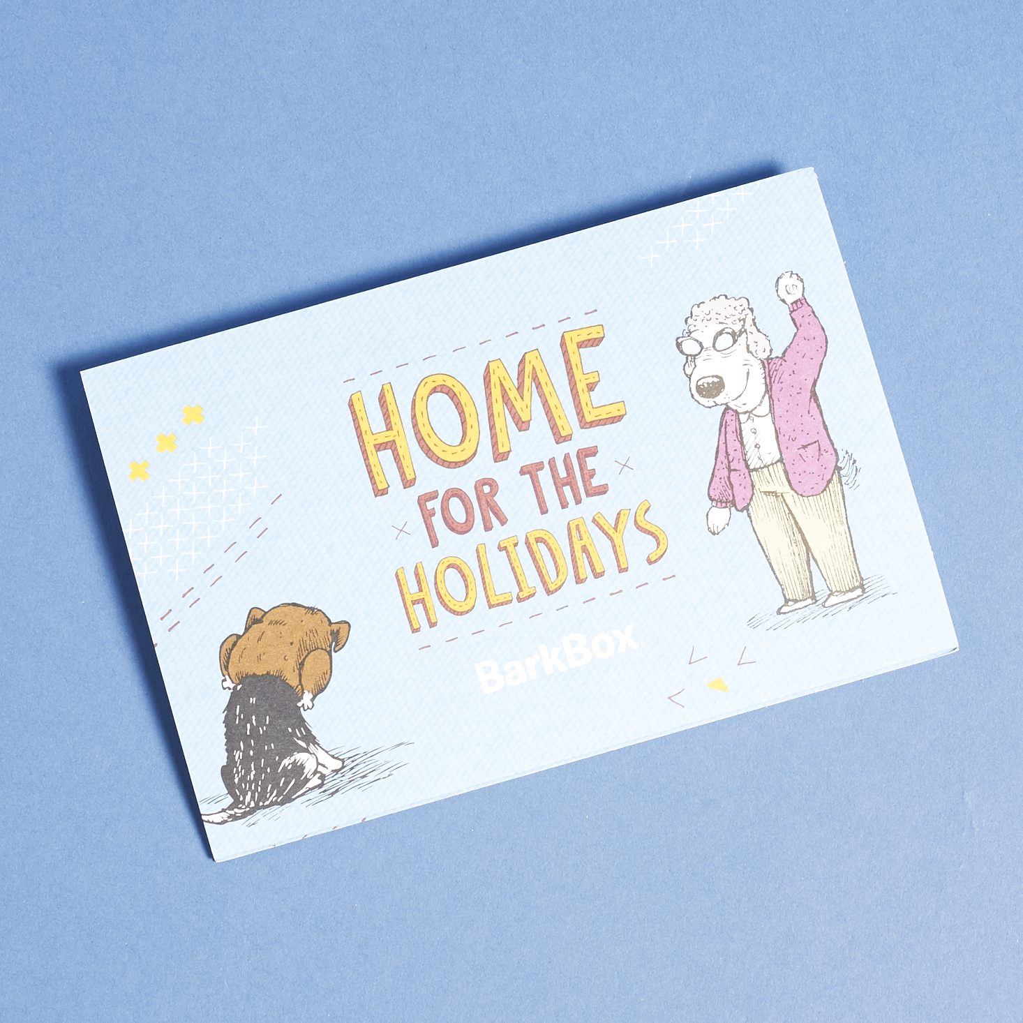 barkbox-november-2016-0028