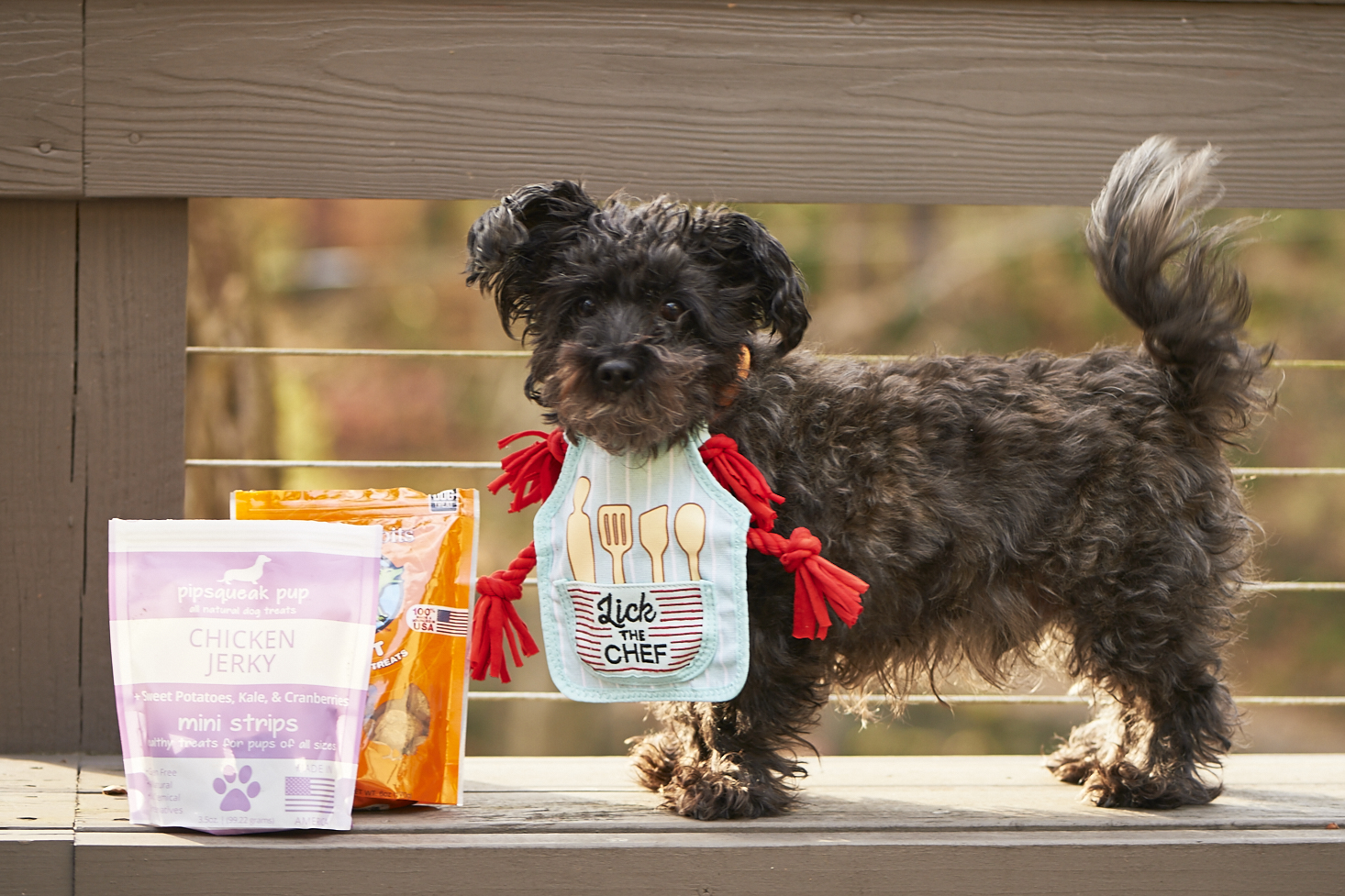 barkbox-november-2016-0032