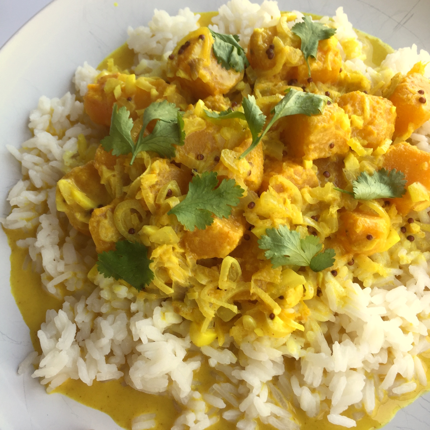 blue-apron-october-2016-curry