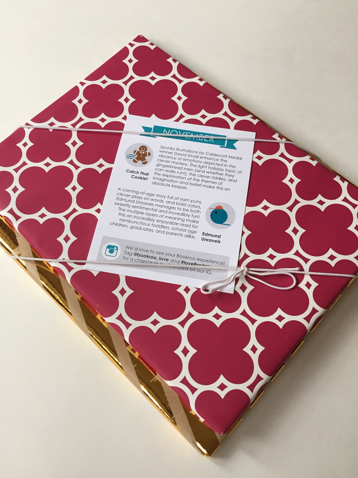 bookroo-november-2016-wrapped