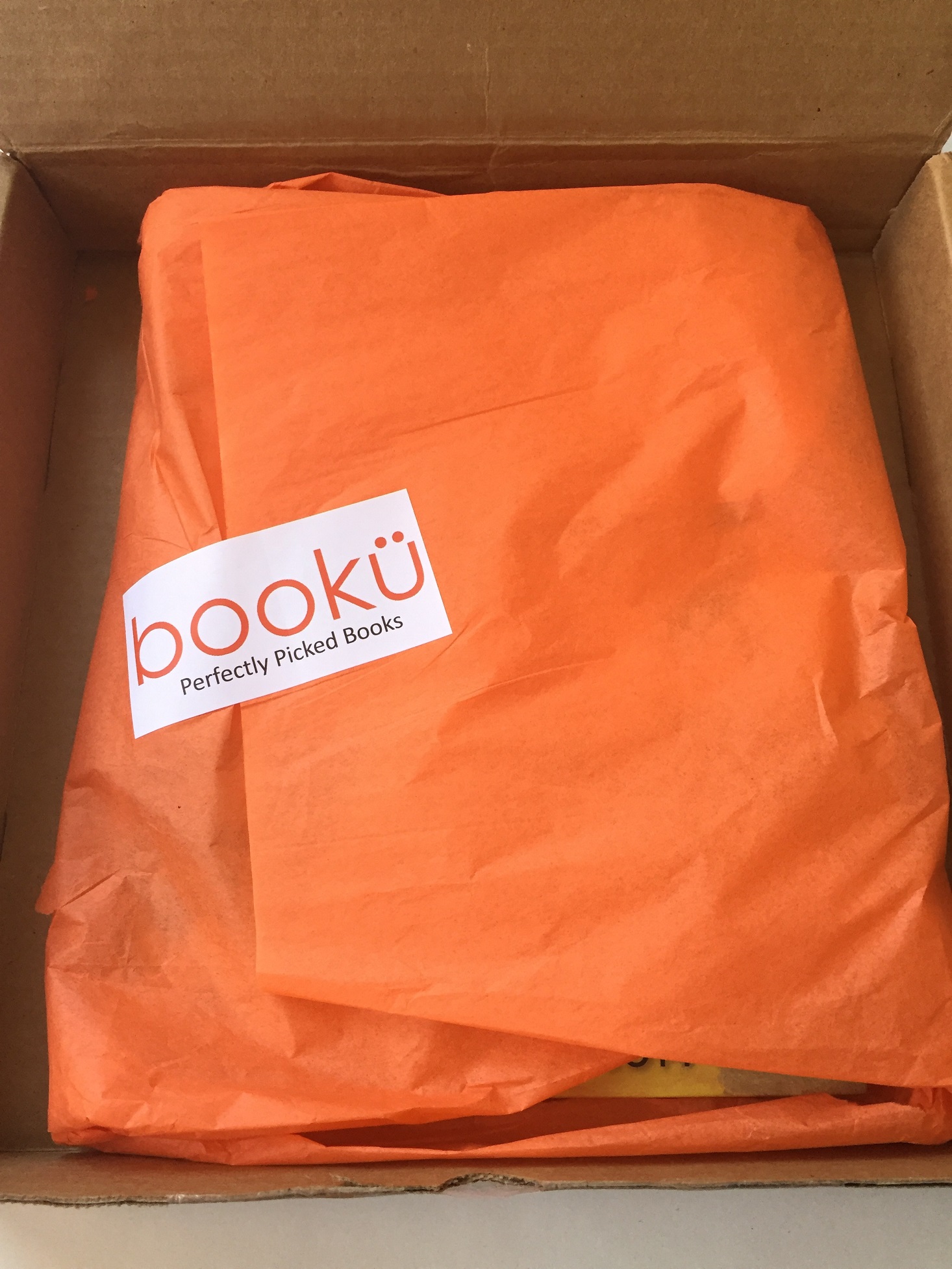 booku-november-2016-box-open