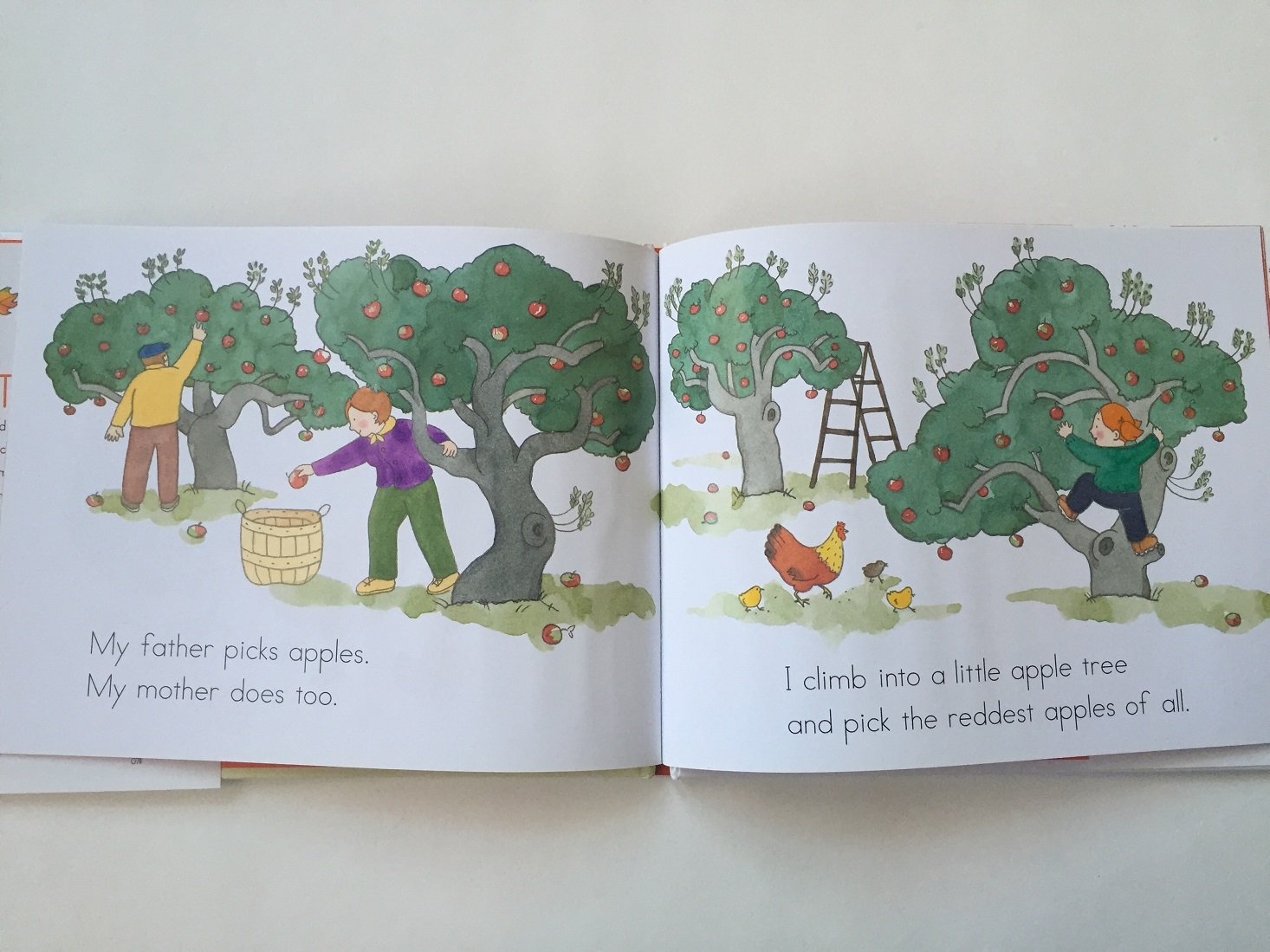 lil-bear-book-club-november-2016-apples2