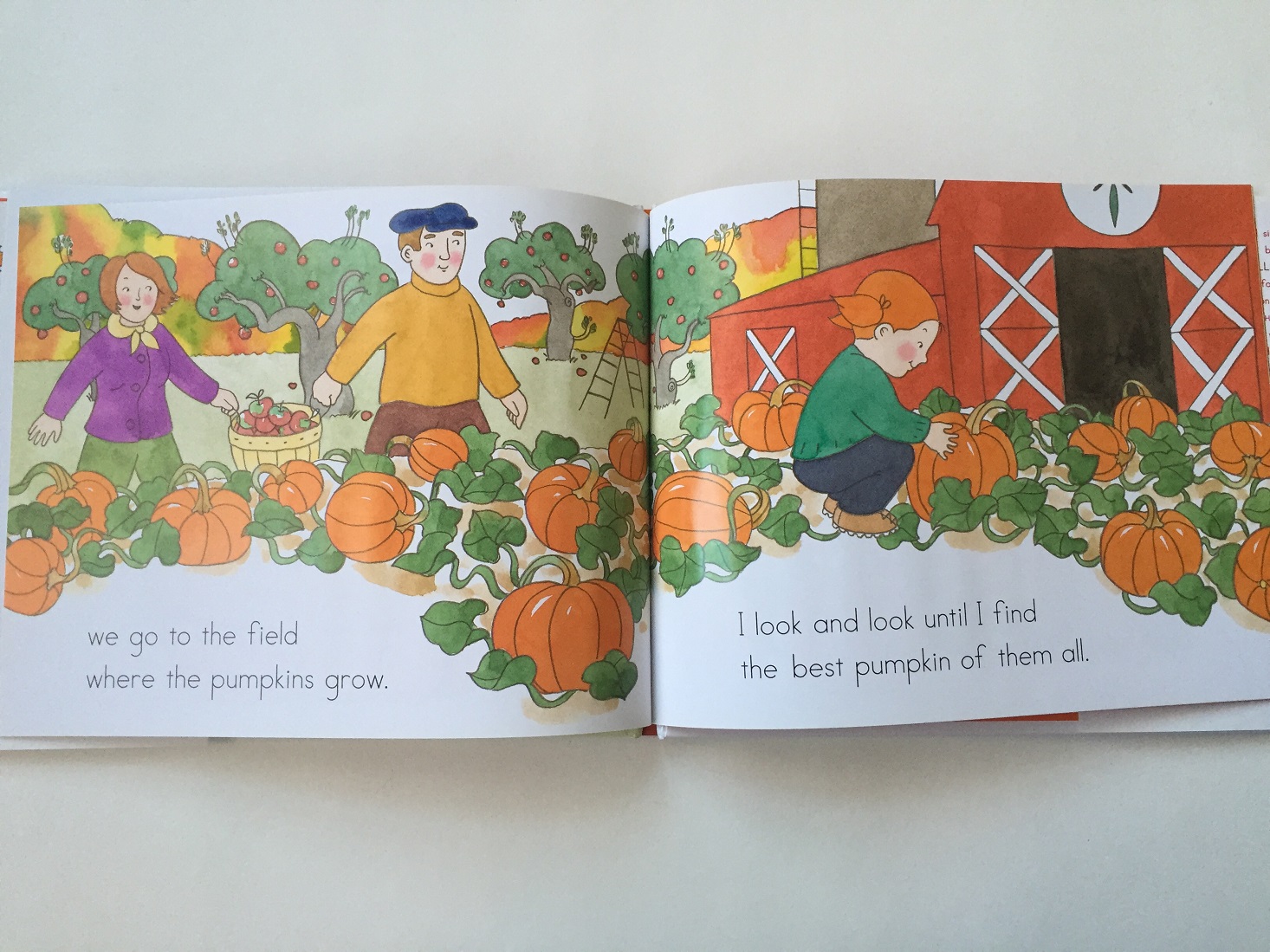 lil-bear-book-club-november-2016-apples3
