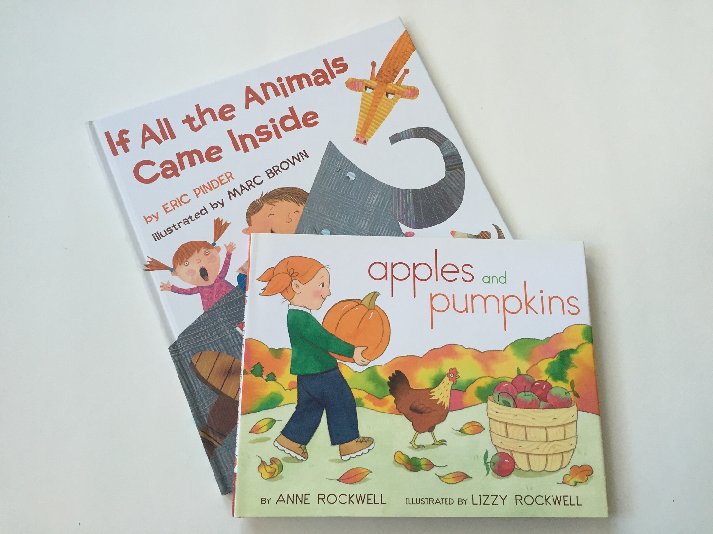 lil-bear-book-club-november-2016-review