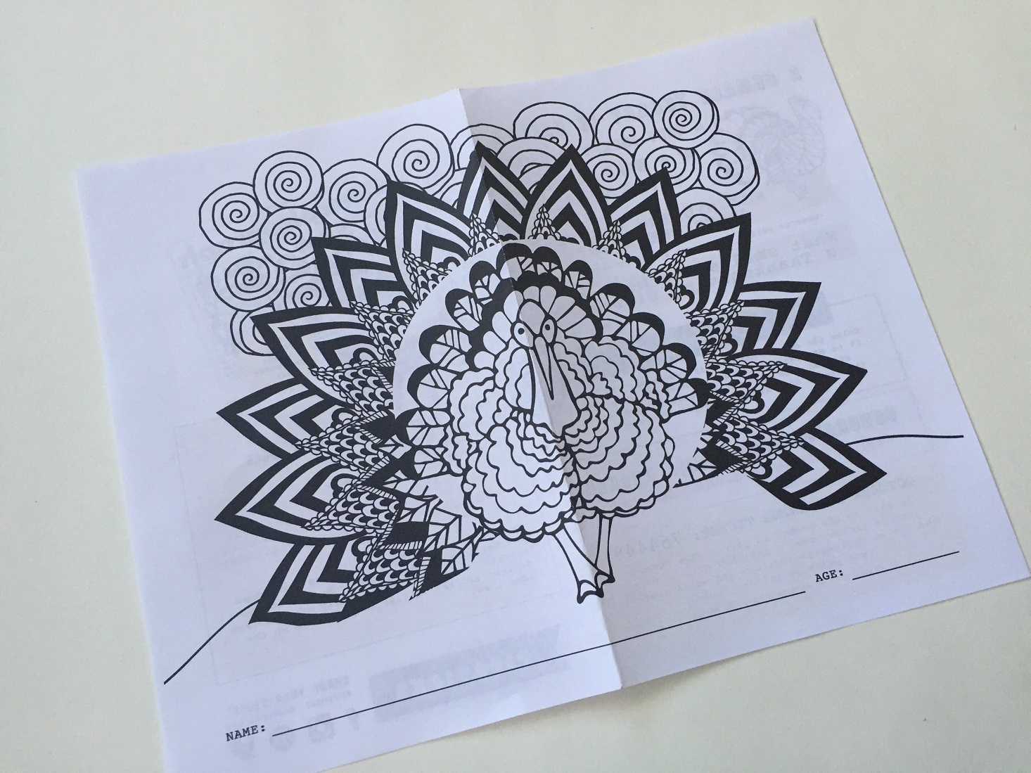 pipsticks-november-2016-booklet2