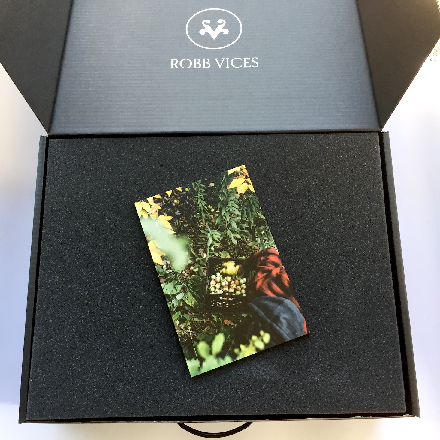 robb-vices-november-2016-box-open