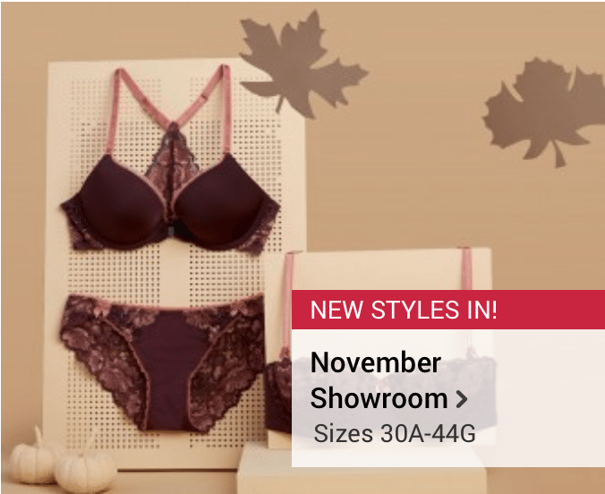 Adore Me November 2016 Collection + First Set for $19.95!