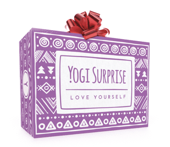 Yogi Surprise Winter Solstice Holiday Bonus Box Available Now!