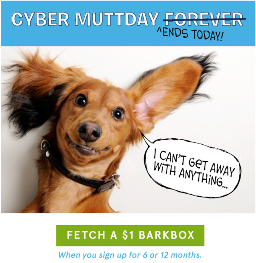 Last Day! – First BarkBox for Only $1!