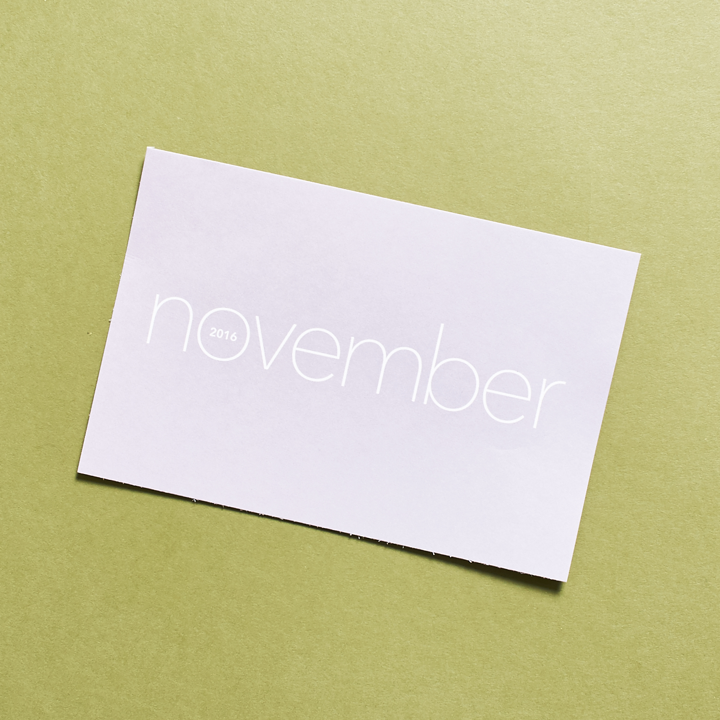 Read our review to see what's inside the November 2016 Studio Calico Planner subscription!