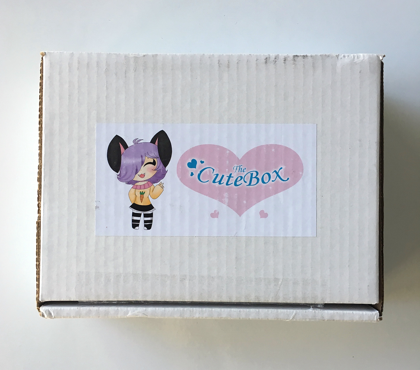 The CuteBox Subscription Review + Coupon – October 2016