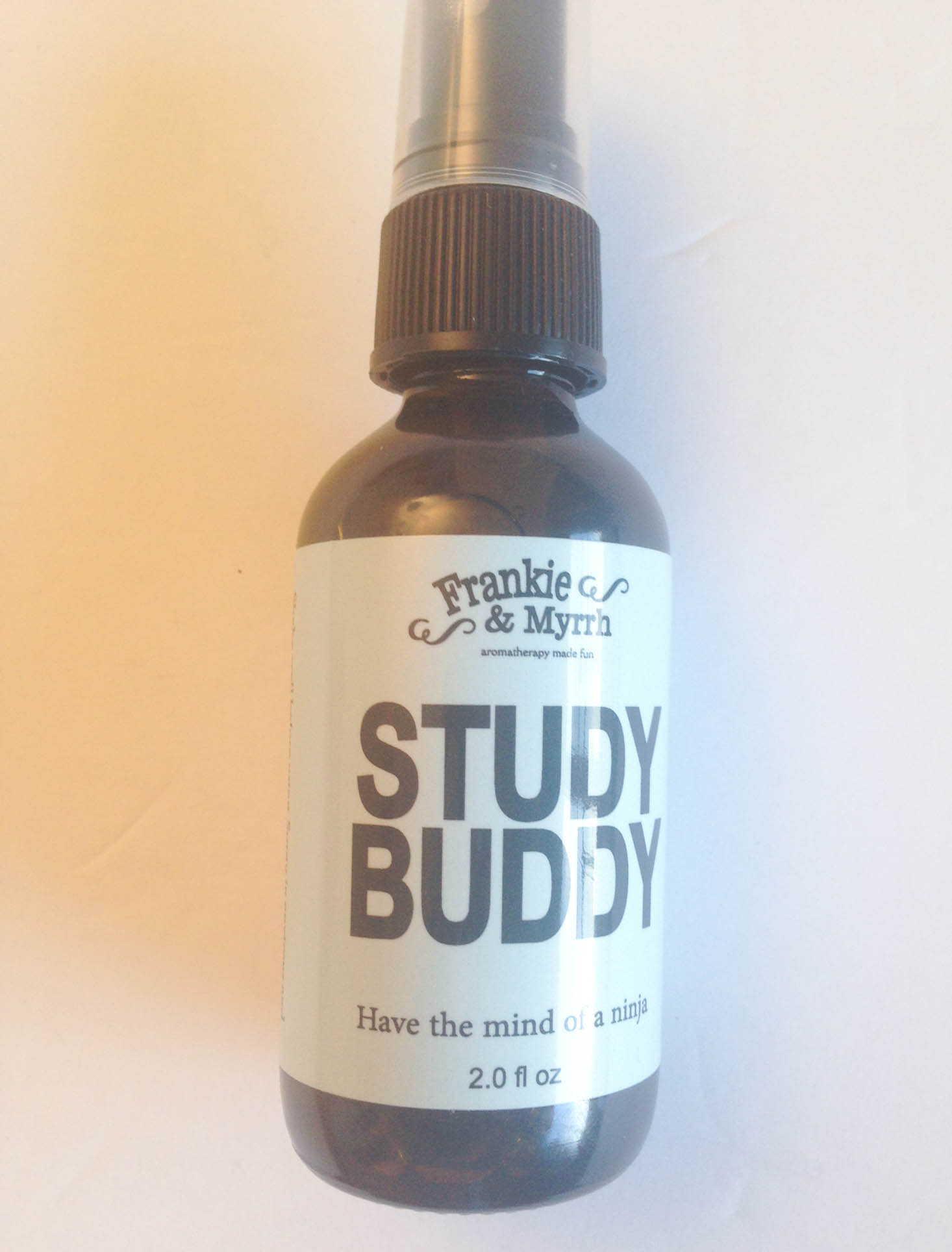 trendy-memo-october-2016-study-buddy