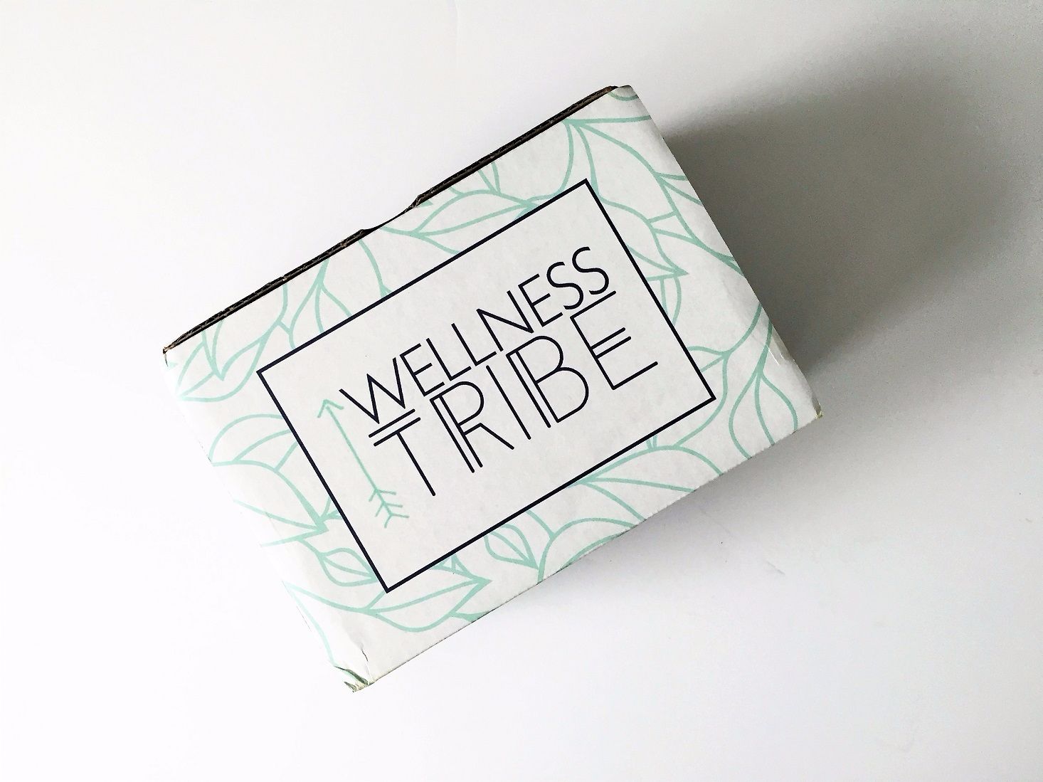 Wellness Tribe Subscription Box Review + Coupon- November 2016