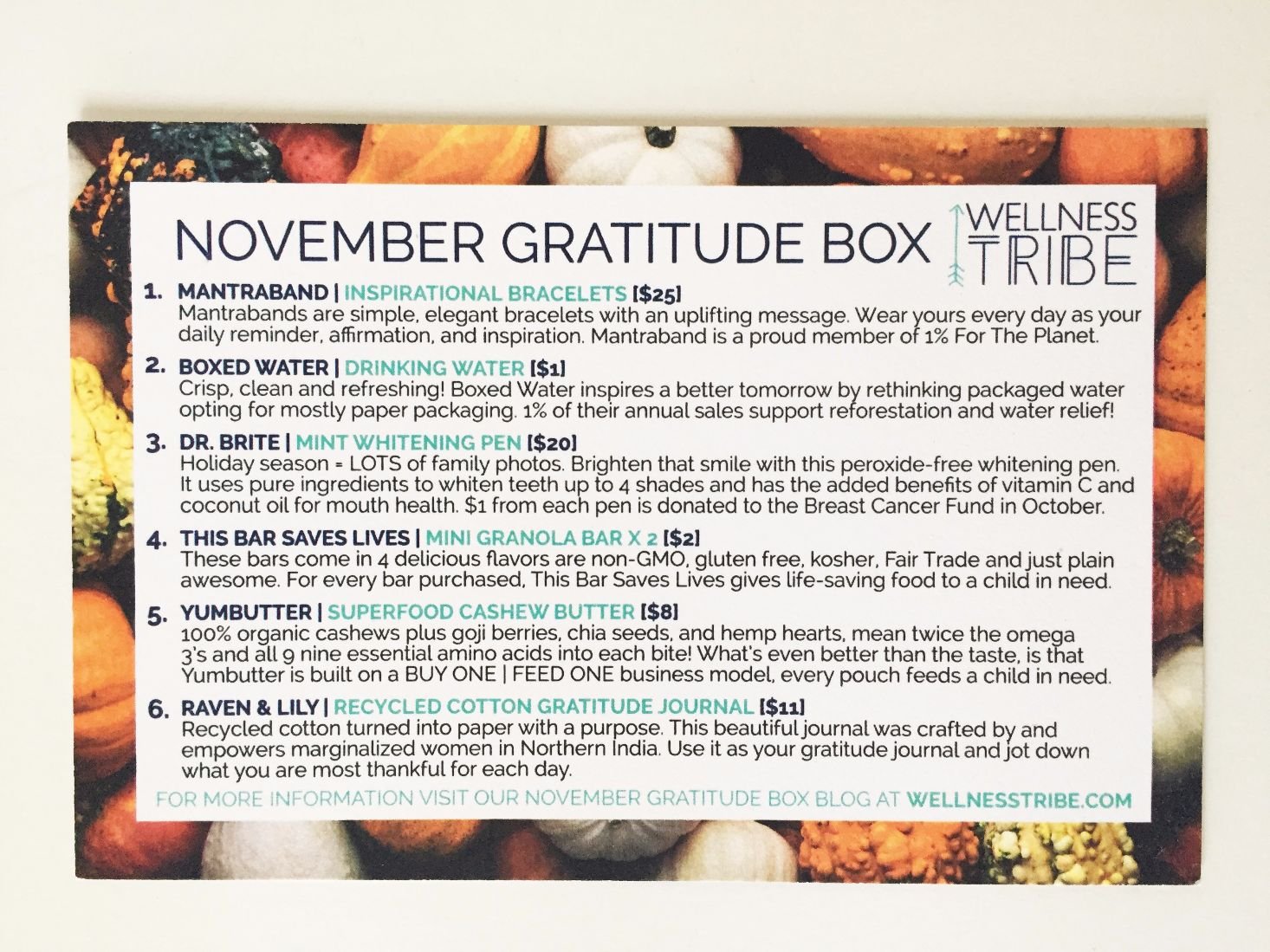 wellness-tribe-november-2016-06backcard-jpg