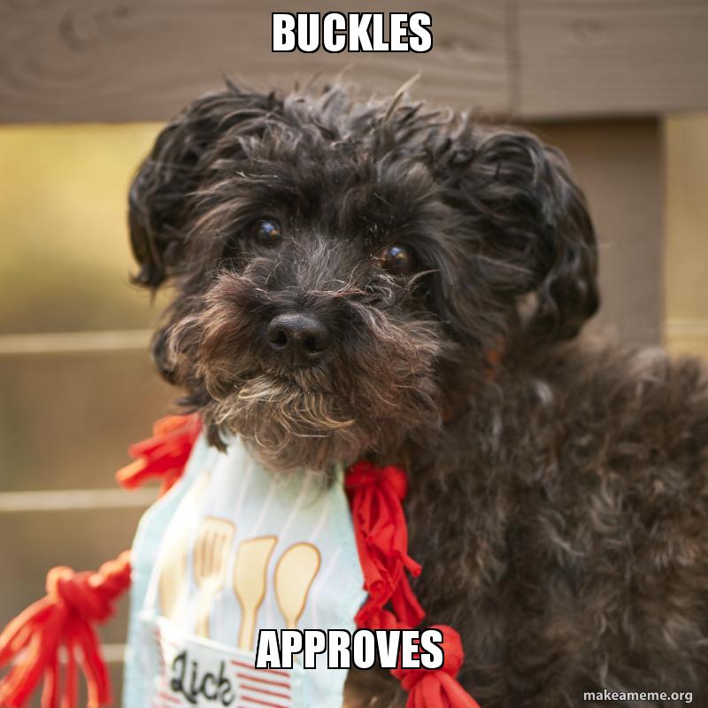 buckles-approves-hxkk8n
