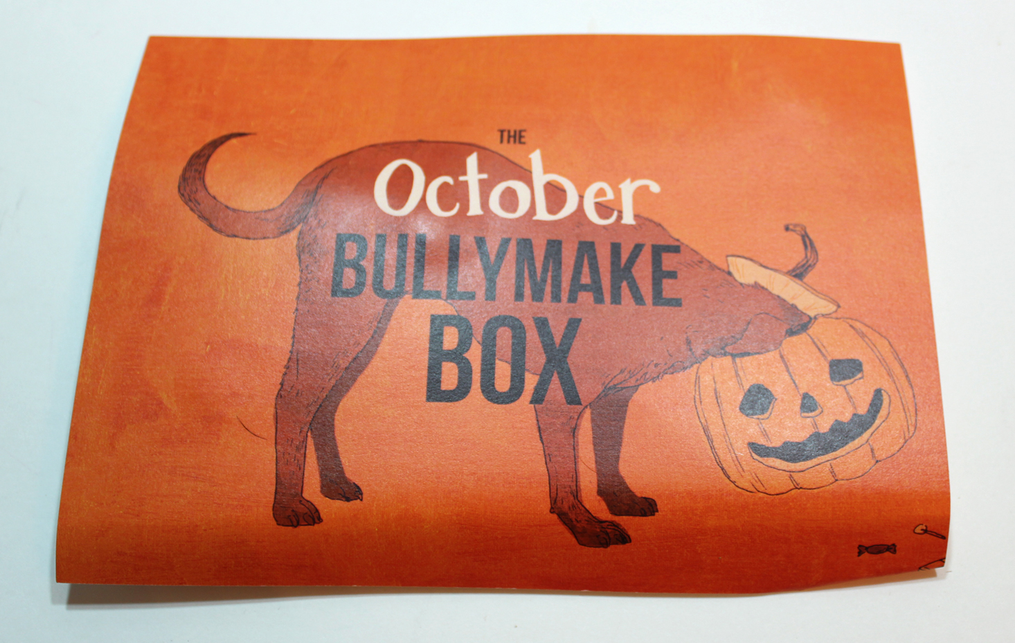 bullymake-box-october-2016-booklet-front