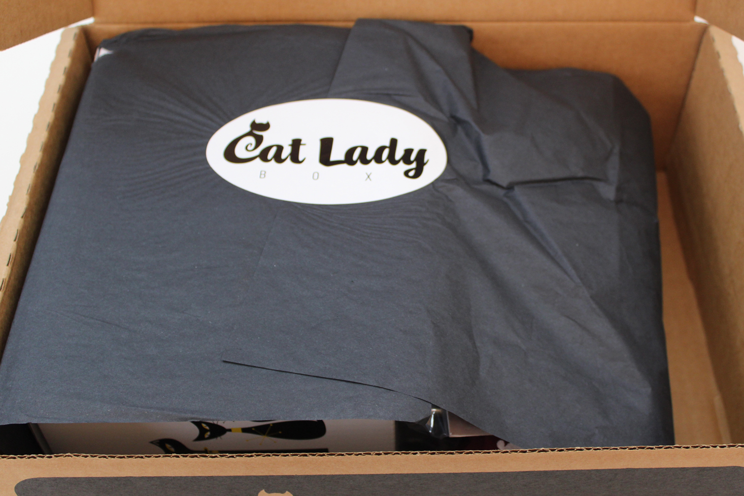 cat-lady-box-november-2016-inside1