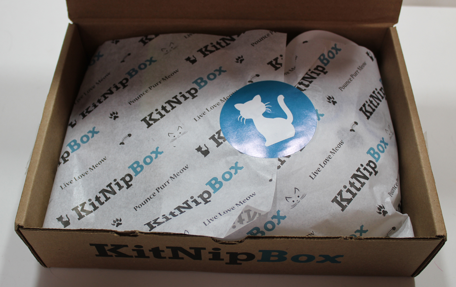 kitnipbox-november-2016-inside1