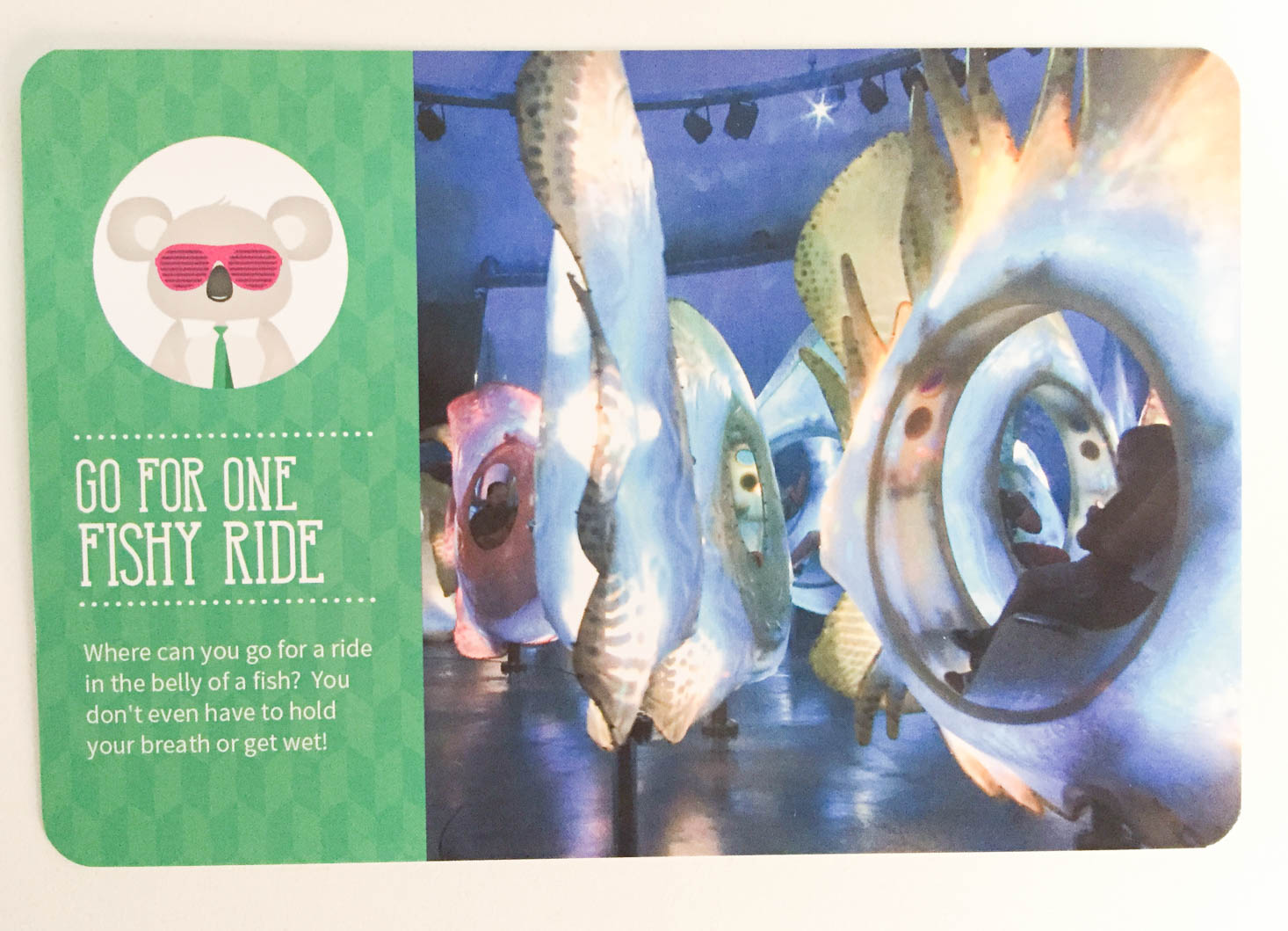 kiwibop-postcard-pals-october-2016-fish-final