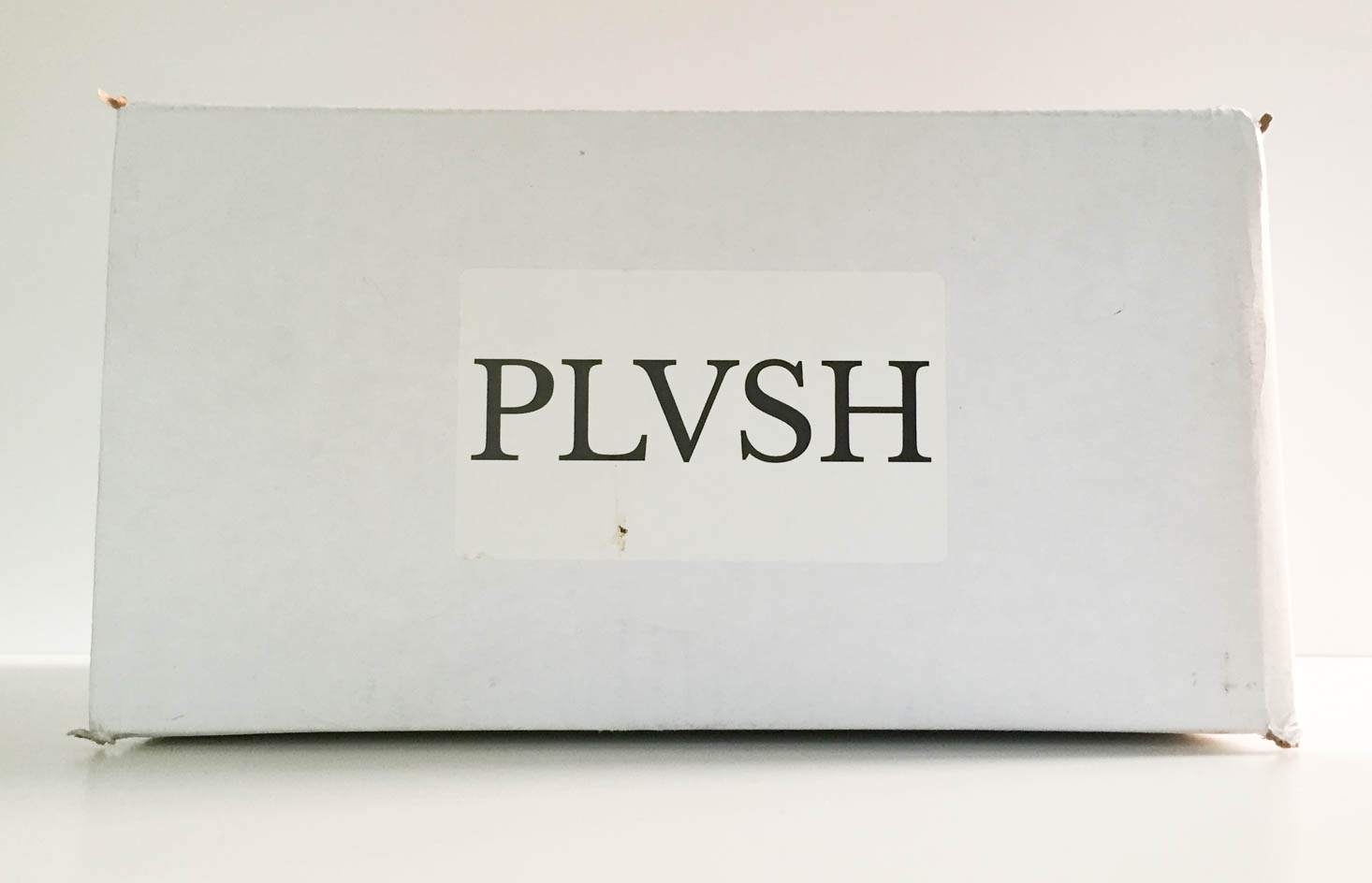 PLVSH Style Subscription Box Review – November 2016