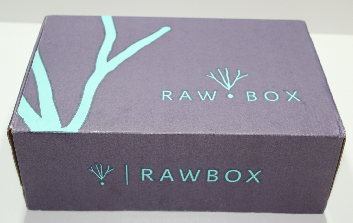 rawbox-november-2016-box