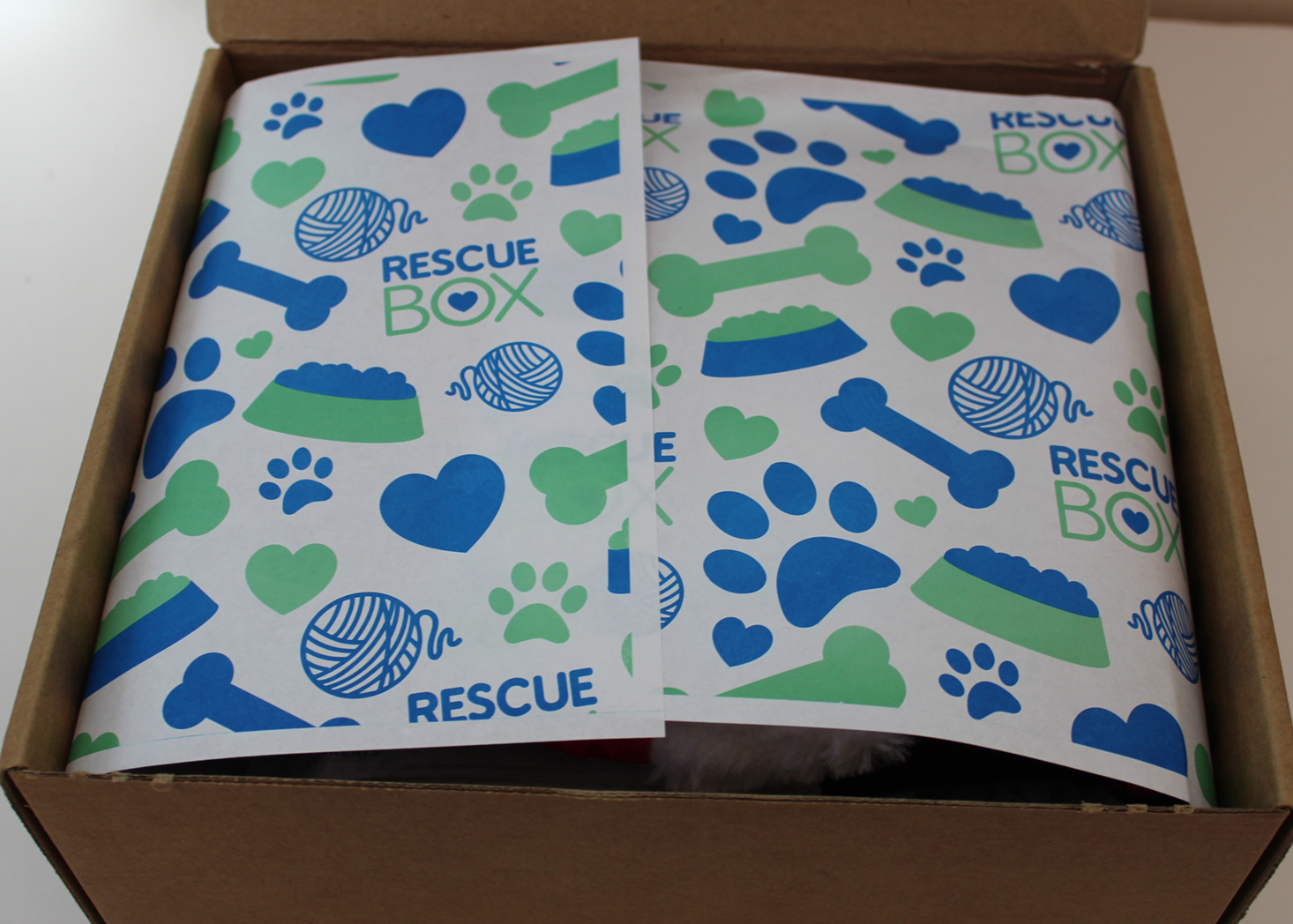 rescue-box-november-2016-inside1