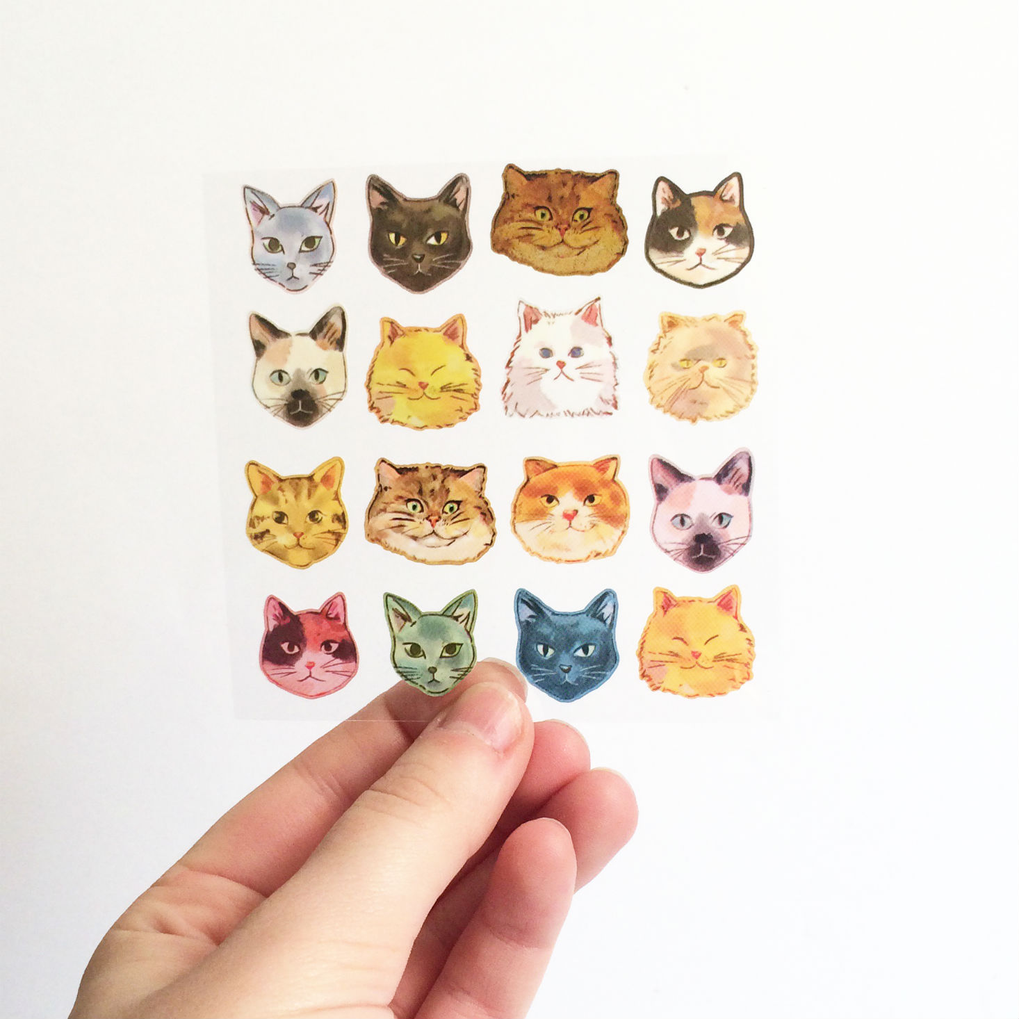 See what stickers are inside the Pipsticks November 2016 Pro Club Petite pack!