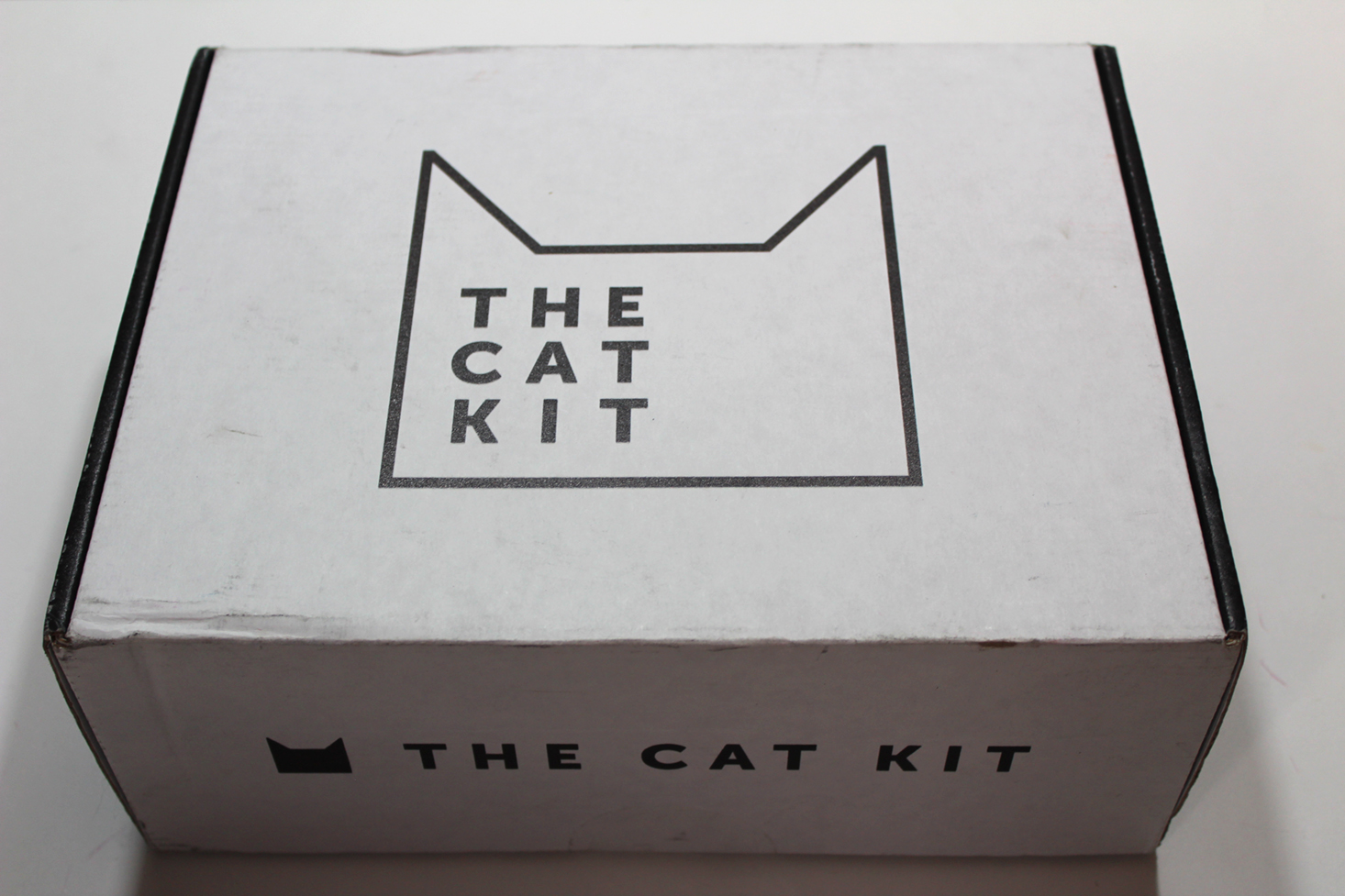 The Cat Kit Subscription Box Review + Coupon – November 2016