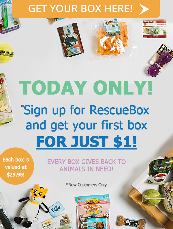 RescueBox Cyber Monday Deal – First Box For $1!