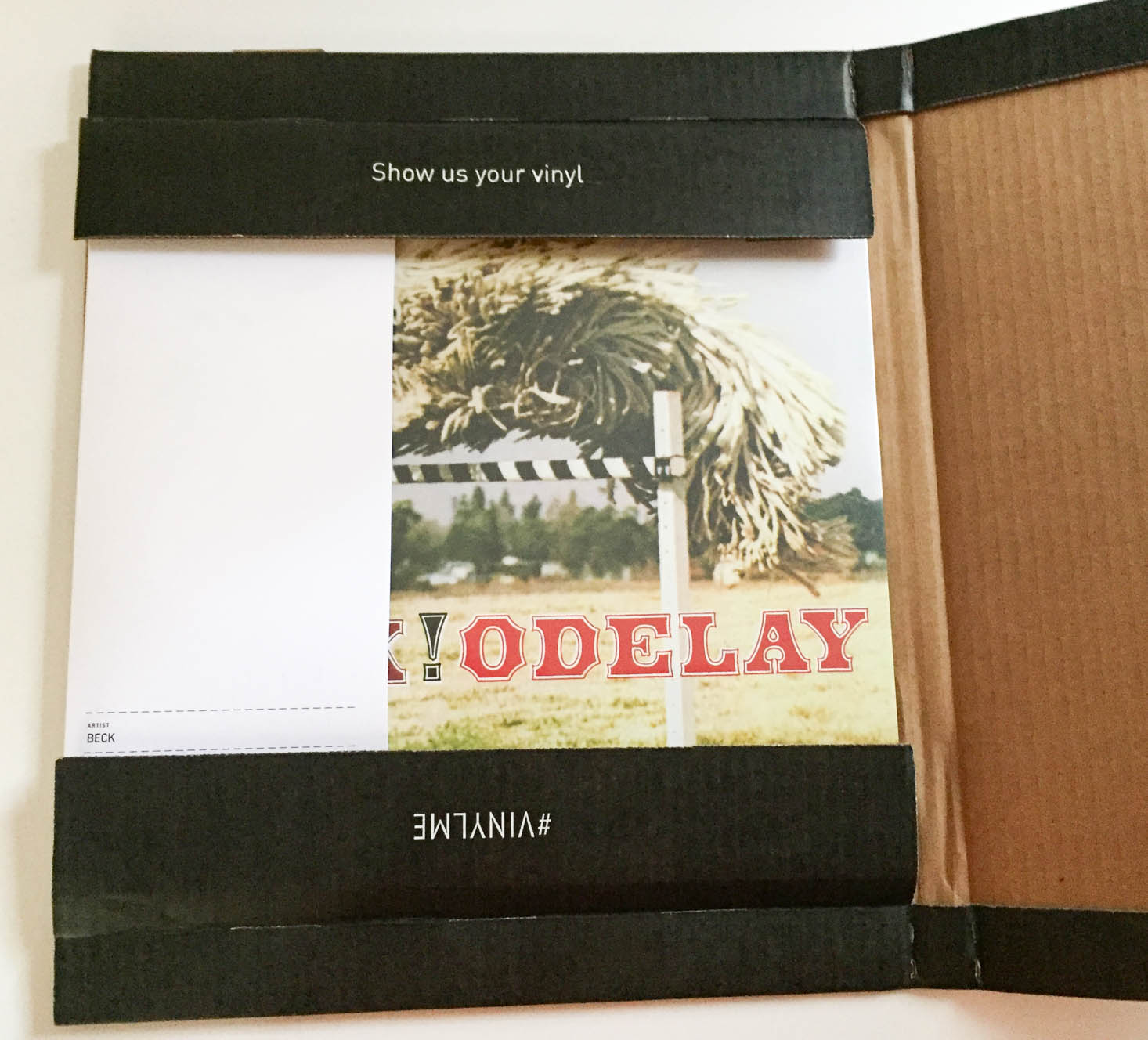 vinyl-me-please-october-2016-box-inside